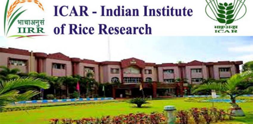 ICAR-IIRR Hyderabad