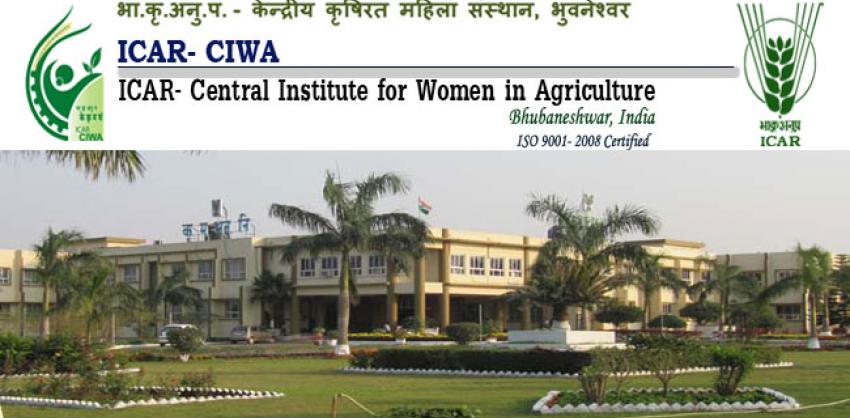 CIWA Notification 2022 For Field Assistant