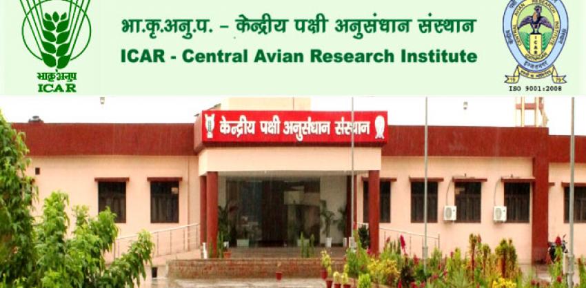Central Avian Research Institute Recruitment 2022 Personal Assistant