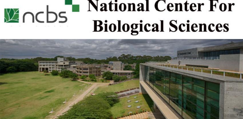 NCBS Recruitment 2022 Scientific Officer & Scientific Assistant Posts