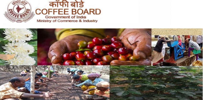Coffee Board of India Recruitment 2022 Roaster & Accountant cum Stores Manager