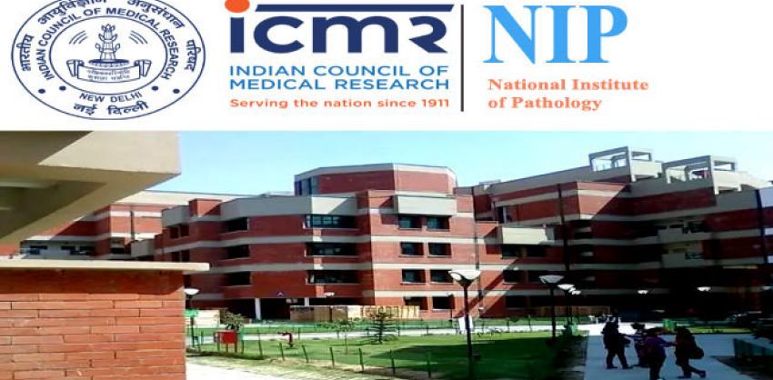 ICMR - National Institute of Pathology Recruitment 2022 Project Posts
