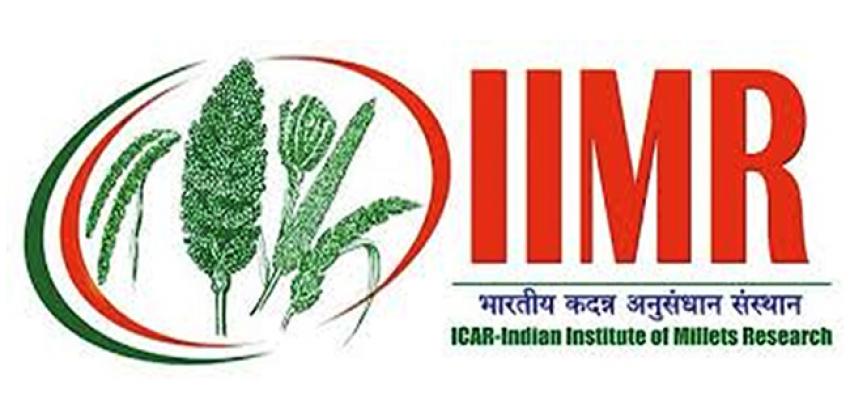IIMR Recruitment