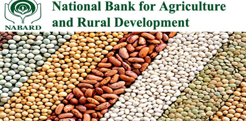 NABARD Recruitment 2022 Specialist Officer Check Eligibility 