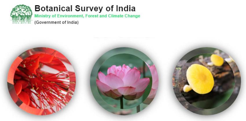 Botanical Survey of India Recruitment 2022 for Field Assistant