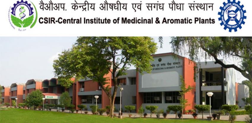 Central Institute of Medicinal & Aromatic Plants Recruitment 2022 for Project Associate