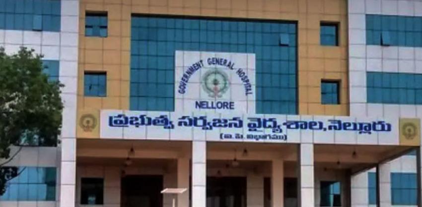ggh nellore recruitment 2022 for Paramedical Posts 