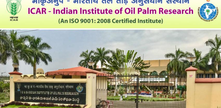 ICAR-IIOPR Recruitment 2022 for Young Professional Jobs