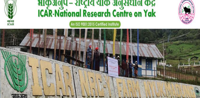 National Research Centre on Yak Recruitment 2022 Young Professional 