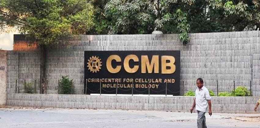 CCMB Hyderabad recruitment
