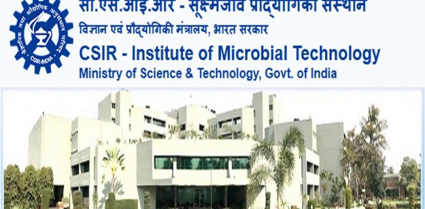 CSIR - Institute of Microbial Technology Recruitment 2022: Project Associate I & Senior Project Associate