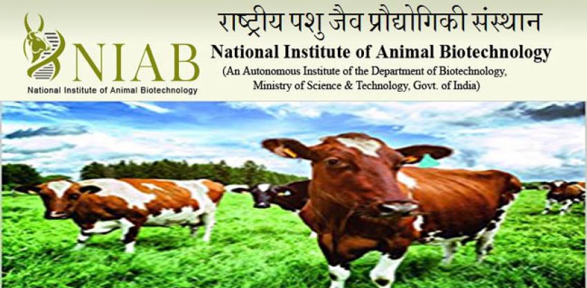 National Institute of Animal Biotechnology Recruitment 2022 Technical  Officer & Farm Manager