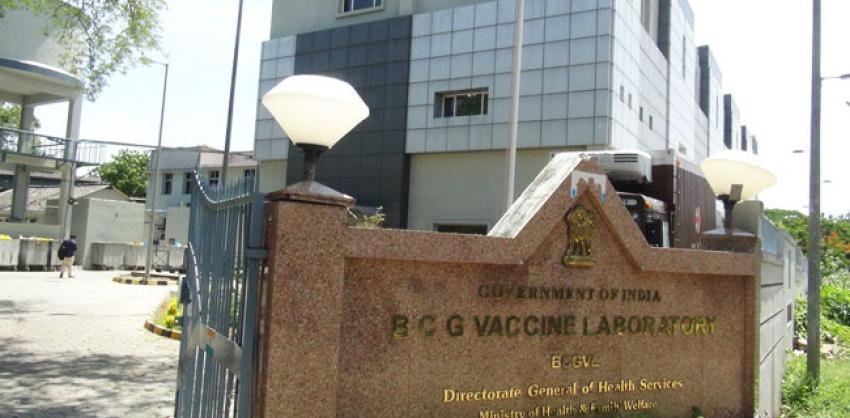 BCG Vaccine Laboratory, Chennai Recruitment 2022