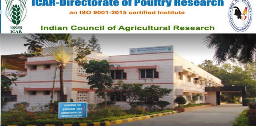 Director of Poultry Research Recruitment 2022