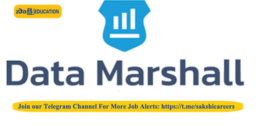 Analyst Job for Freshers in Data Marshall 