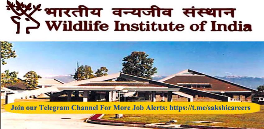 Wildlife Institute of India Recruitment 2022 Notification out