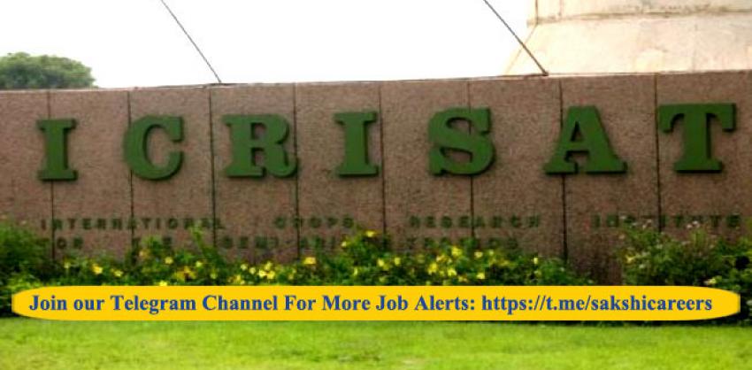 ICRISAT Recruitment 2023: Scientific Officer