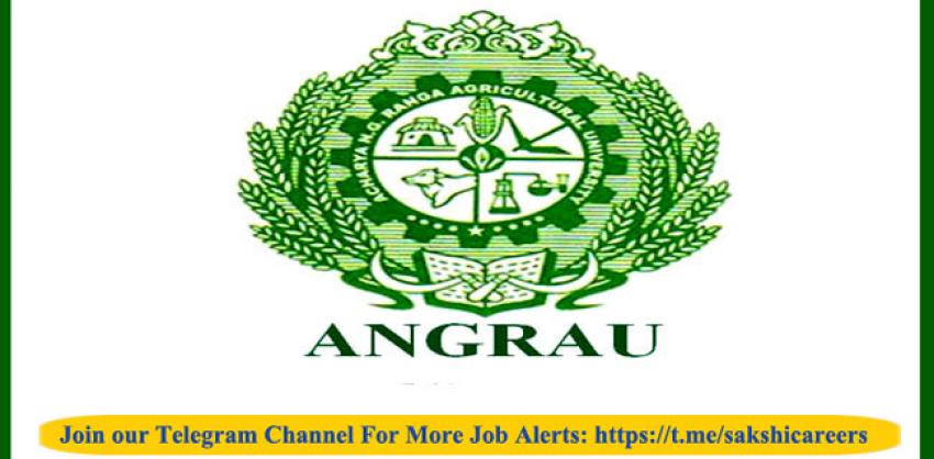 ANGRAU Recruitment 2023: Research Associate