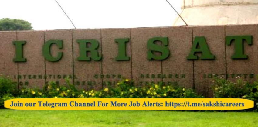 ICRISAT invites application for the following posts