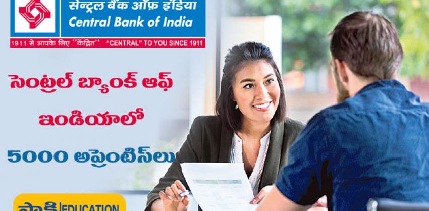 central bank of india recruitment 2023 for 5000 apprentice