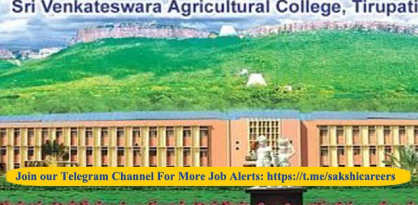S.V Agriculture College, Tirupati Recruitment 2023: Teaching Associate