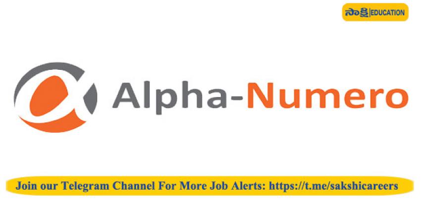 Alpha Numero Technologies Recruiting Business Development Executive