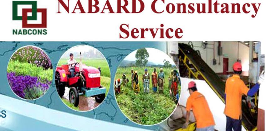 NABARD Consultancy Services Senior or Middle Level Consultants Recruitment