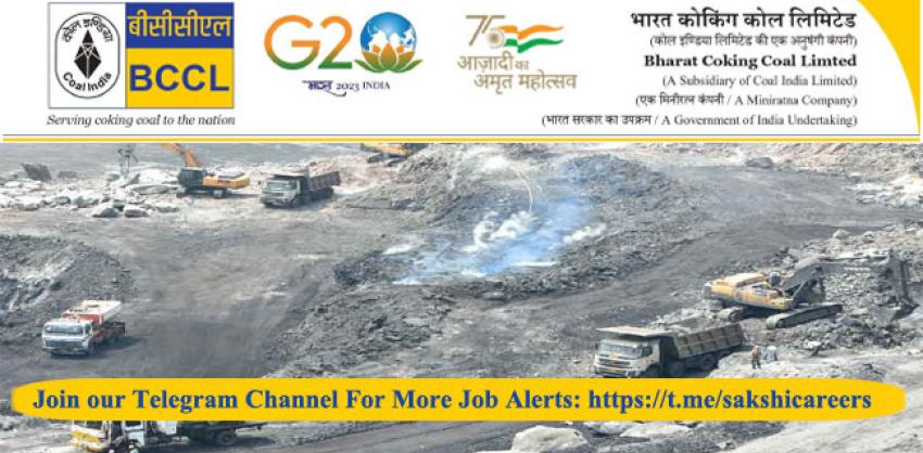 77 Jobs in BCCL