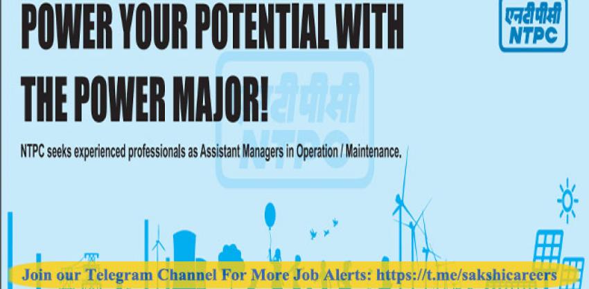 300 Jobs in NTPC Limited