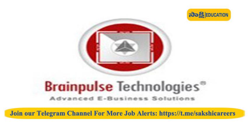 Brainpulse Technologies Pvt. Ltd.: BDE/Sales& Marketing