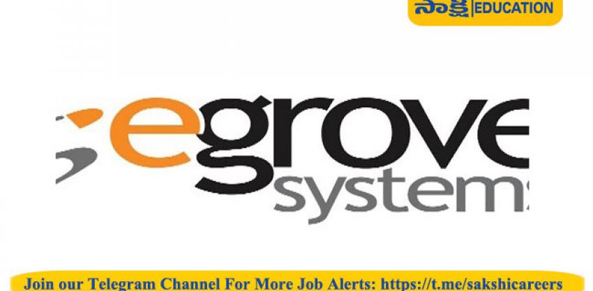 Egrove Systems Corporation Hiring Client Service Executive