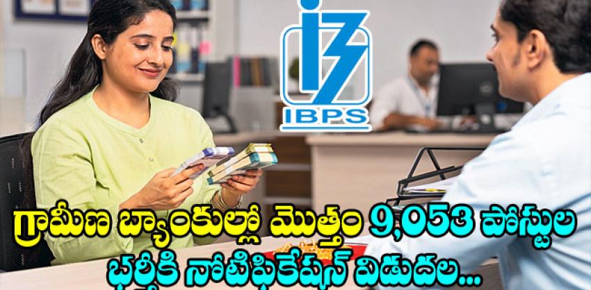 ibps rrb notification 2023 exam pattern and syllabus