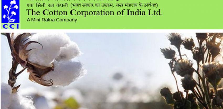 cotton corporation of india recruitment
