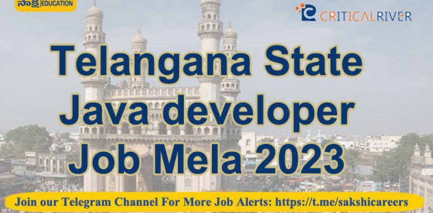 Telangana State Java developer Job Mela 2023 