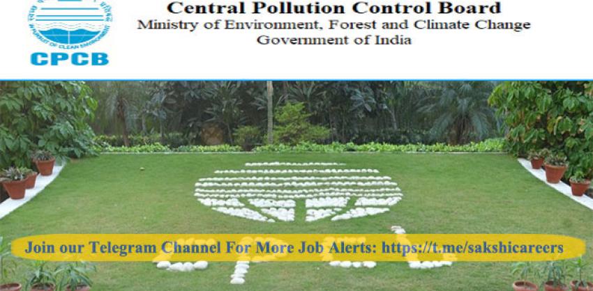74 Consultant Jobs in Central Pollution Control Board 