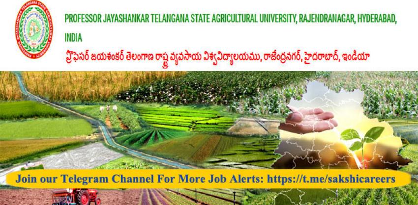 PJTSAU New Recruitment 2023| Young Professional