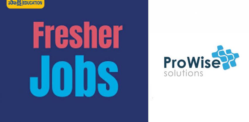 Prowise Solutions Inc Jobs