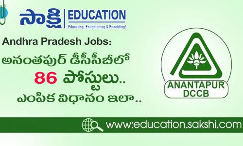 assistant posts in dccb