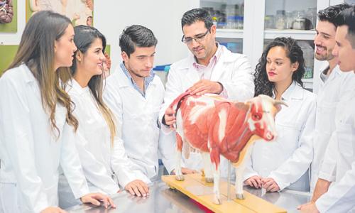 After Inter BiPC: Veterinary Science Courses, Career Opportunities