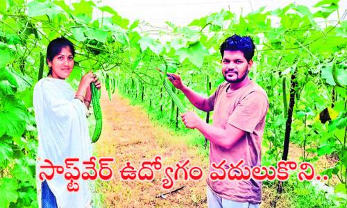 Sucess Story From Software Engineer to Farmer sucess story