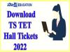 TS TET Hall Tickets 2022