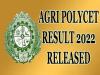 Agri Polycet Result 2022 Released Check Direct Link Here
