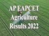 AP EAPCET Agriculture Results 2022 released | Check Direct Link  