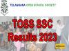 TOSS SSC Results 