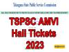 tspsc amvi hall tickets 2023