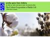 cotton corporation of india recruitment