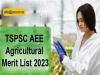 TSPSC AEE Agricultural Merit List 