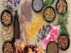 India and USA sign MoU for enhancing export potential of Ayurvedic & other Indian traditional medicine products