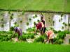 All-India CPI Numbers for agricultural, rural laborers for Dec increased by 5 points
