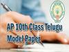 AP Tenth Class 2022 Telugu Model Question Paper 3
